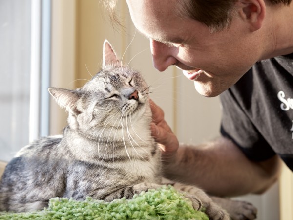 Wenn das nur alle Katzen hätten!